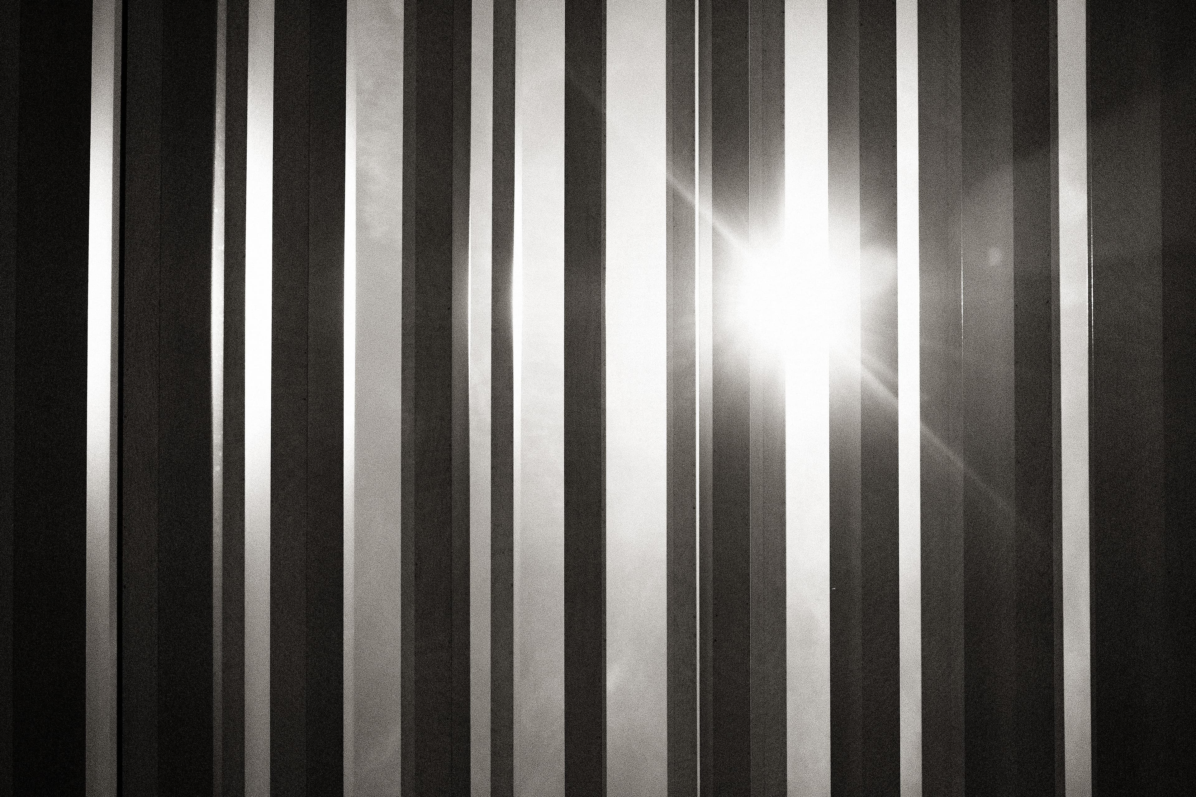 FUJI X-T2 - ƒ/5.6 at ISO-200, 1/1000 sec.