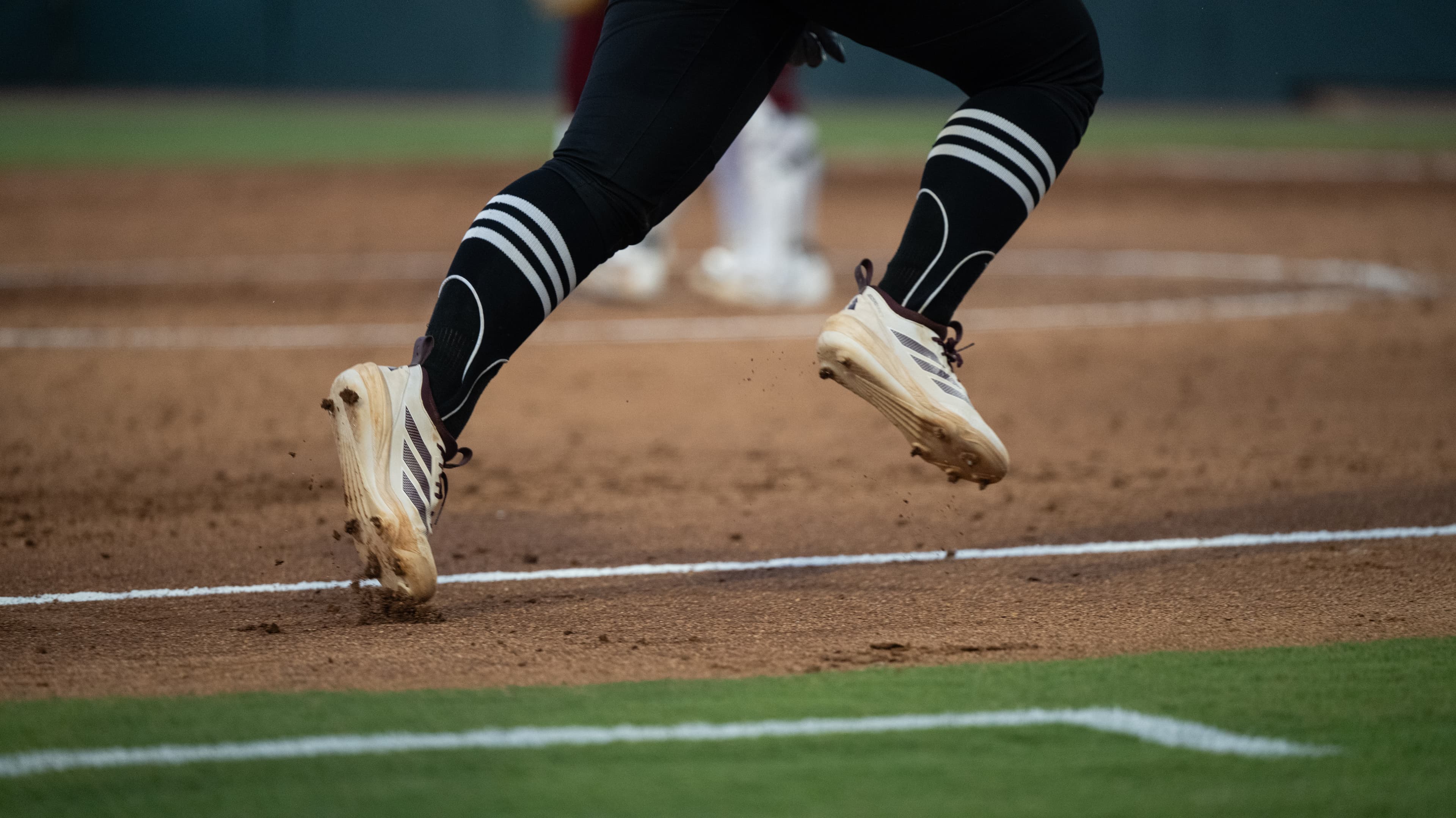 NIKON Z 7II - ƒ/2.8 at ISO-2500, 1/1600 sec.