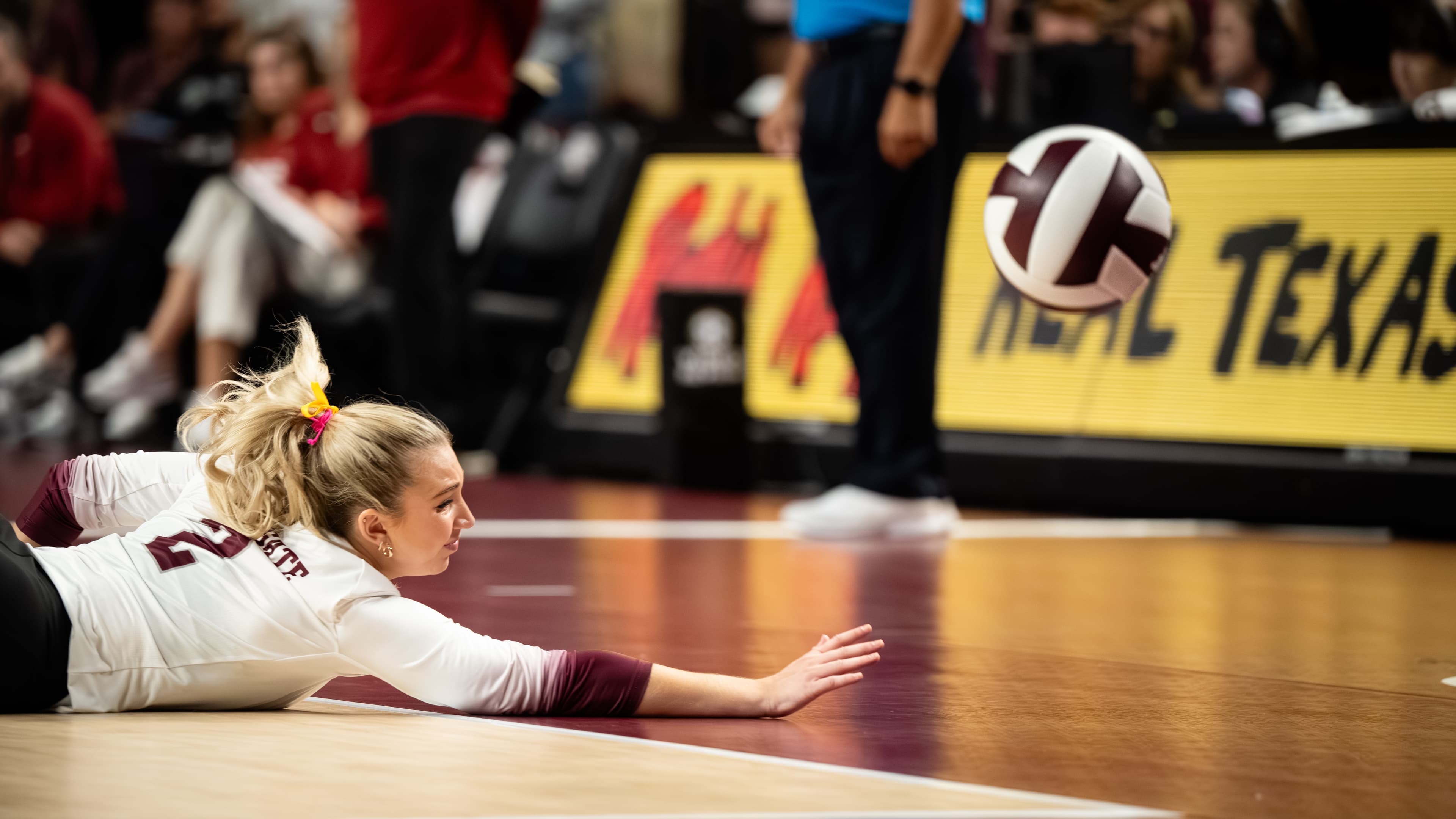 NIKON Z 7II - ƒ/2.8 at ISO-2500, 1/1250 sec.