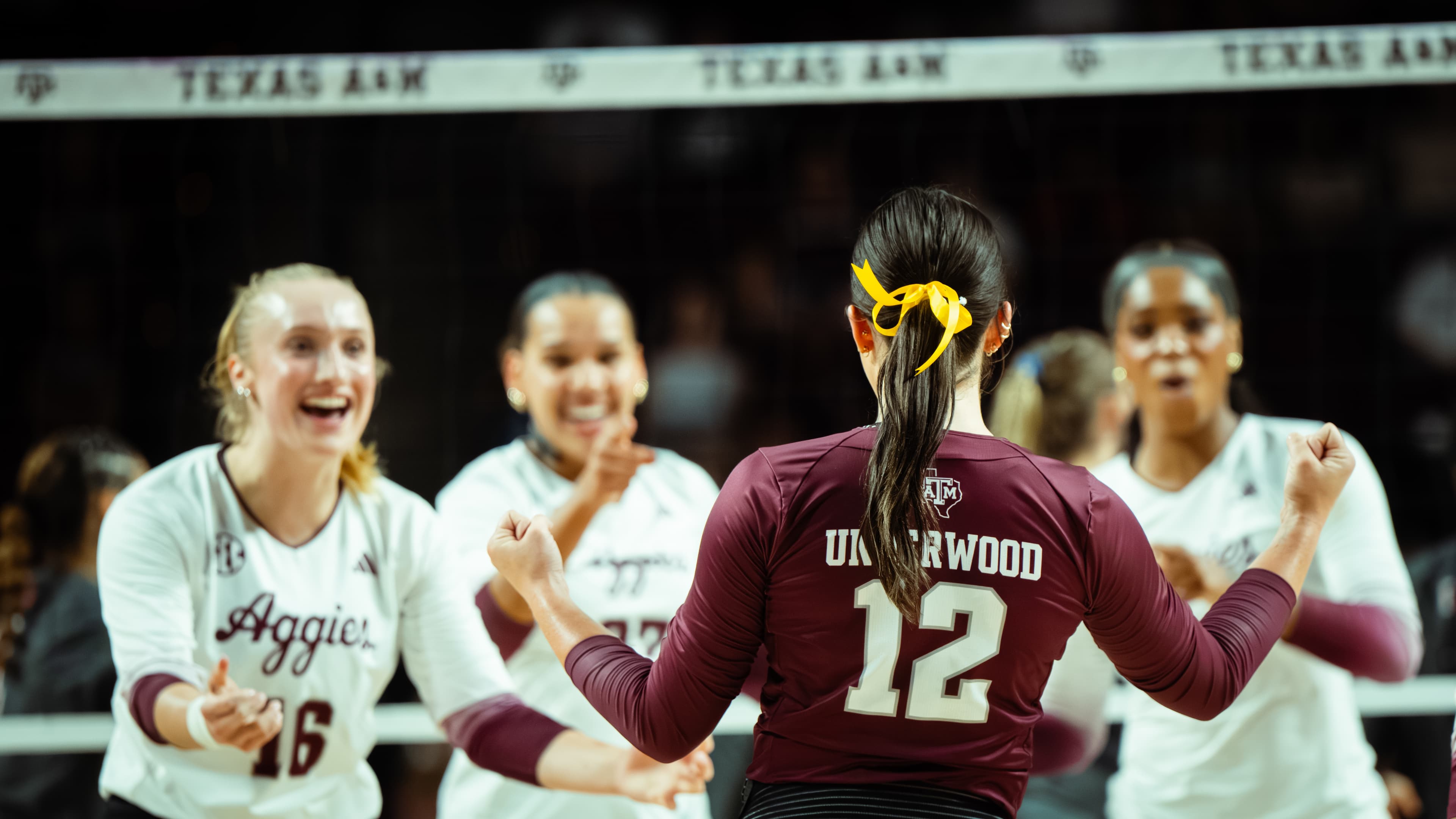 NIKON Z 7II - ƒ/2.8 at ISO-4500, 1/1250 sec.