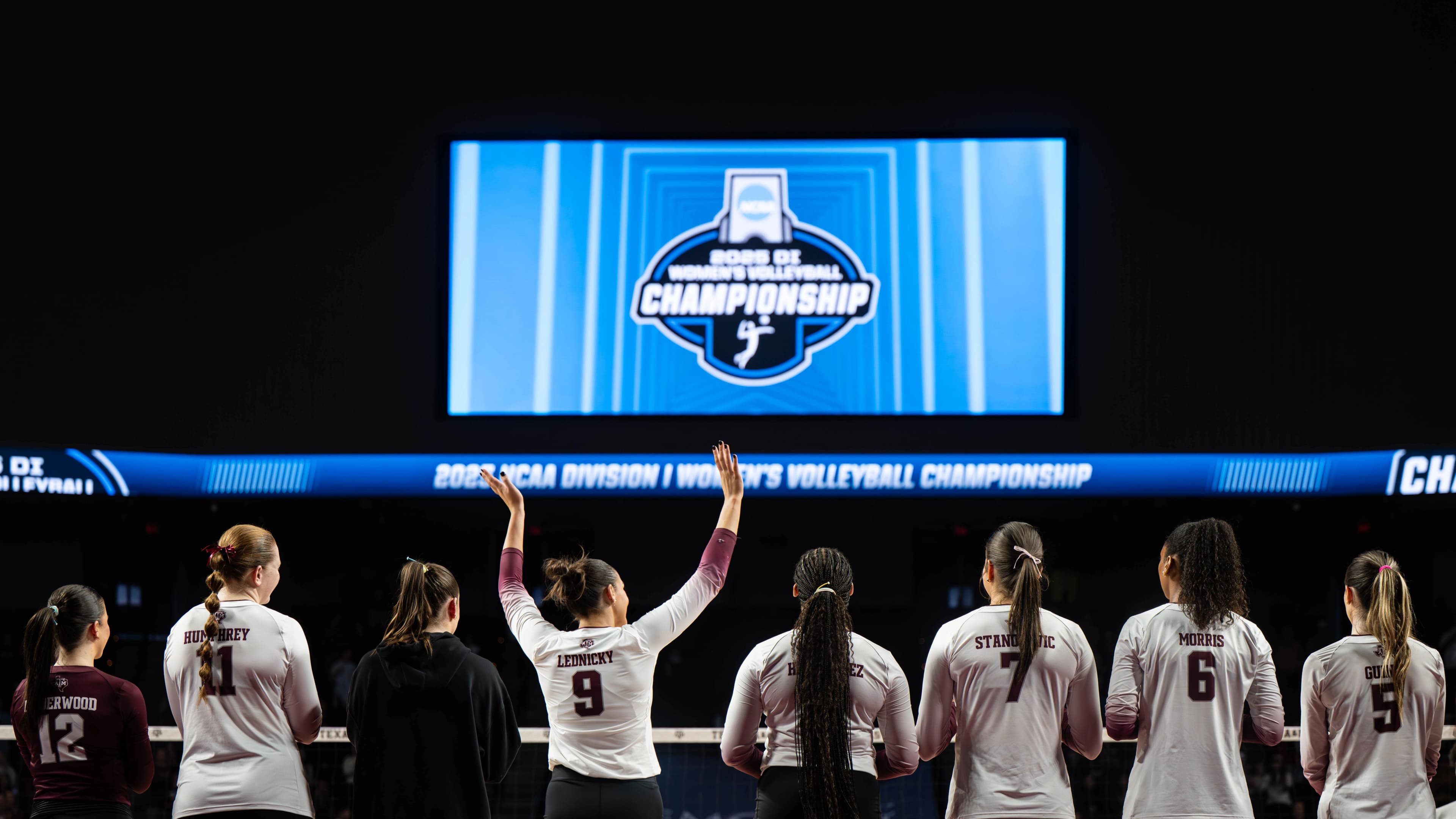 NIKON Z 7II - ƒ/2.8 at ISO-640, 1/500 sec.