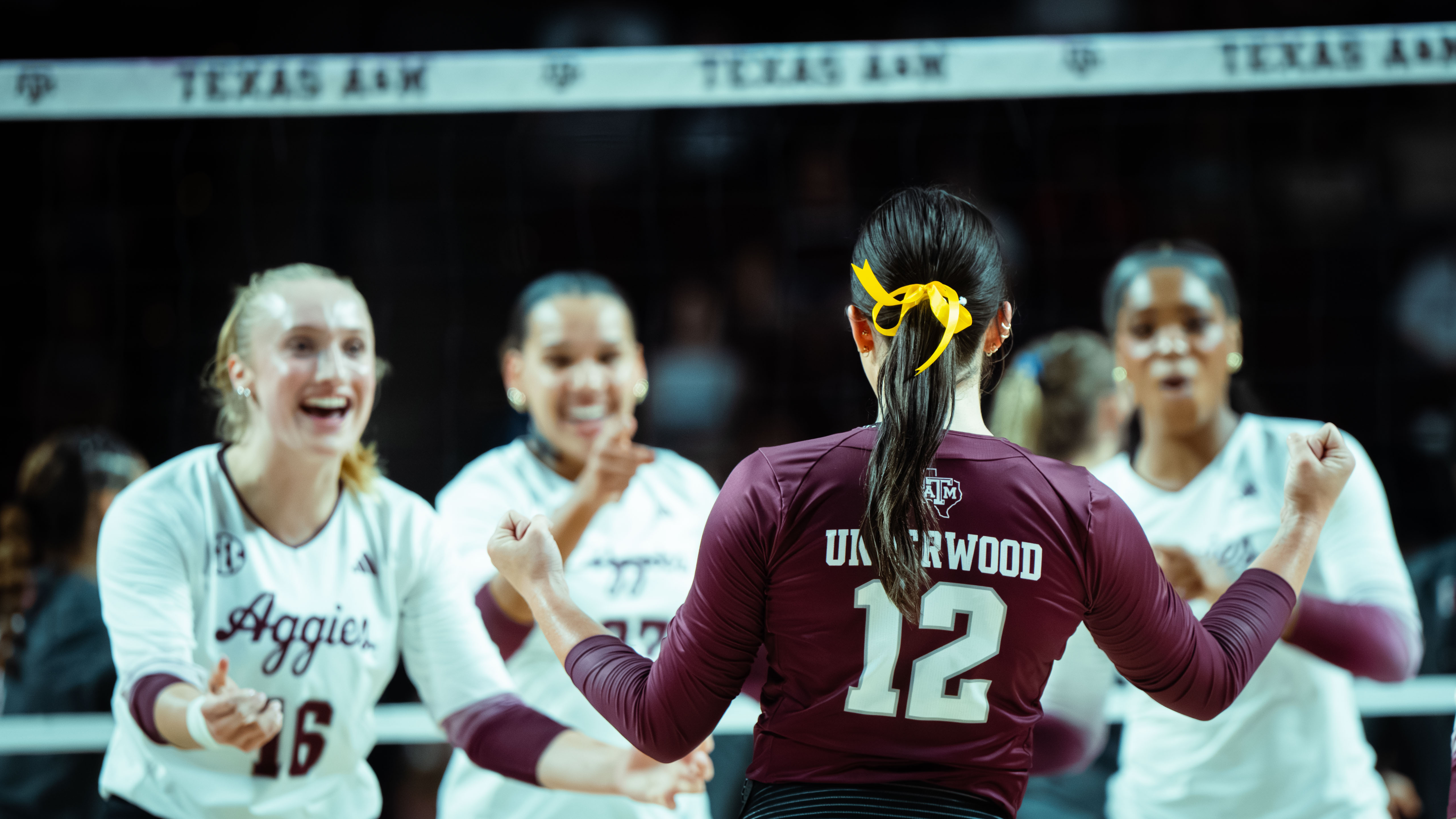 volleyball_celebrate