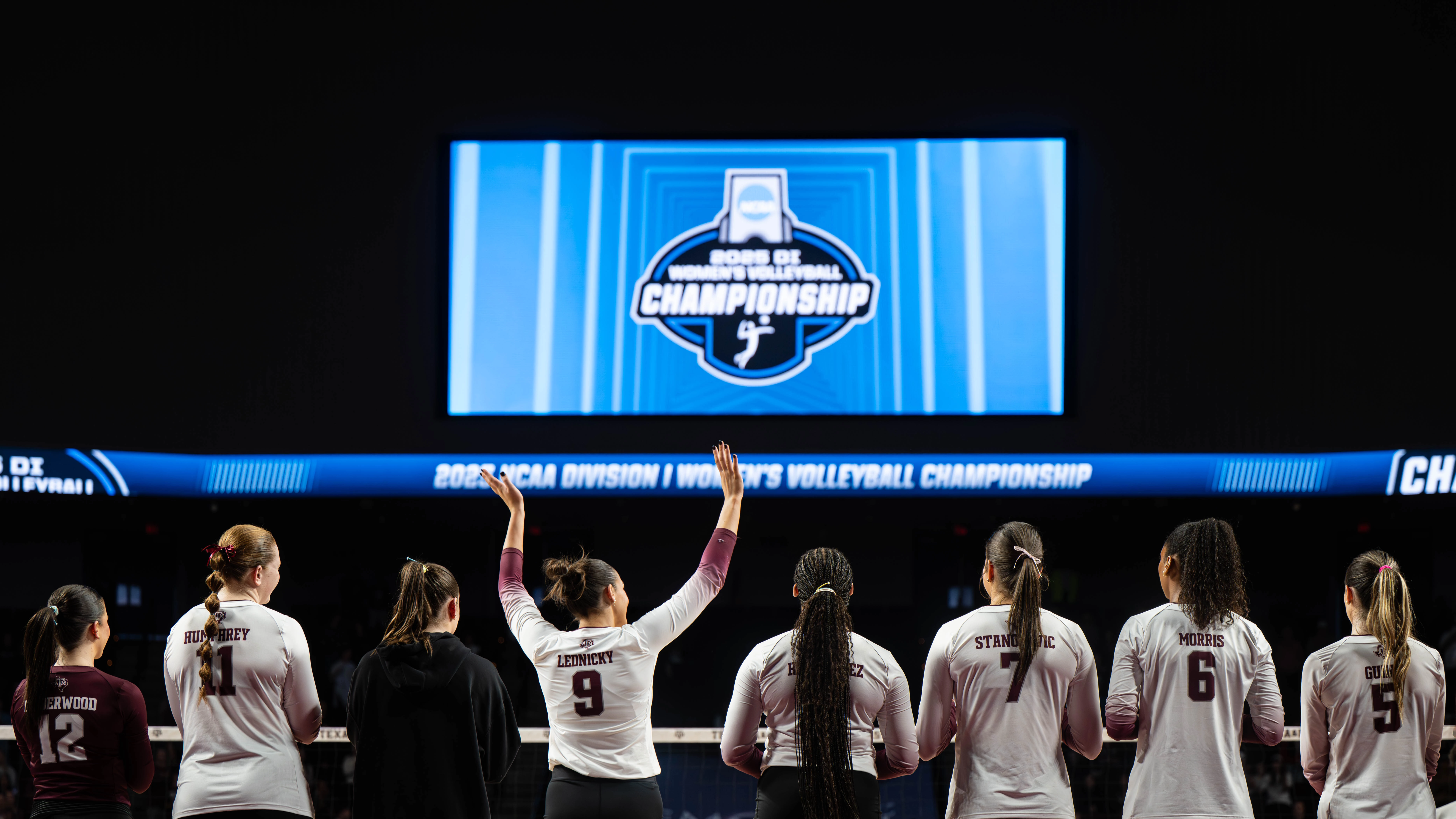 Volleyball_NCAA