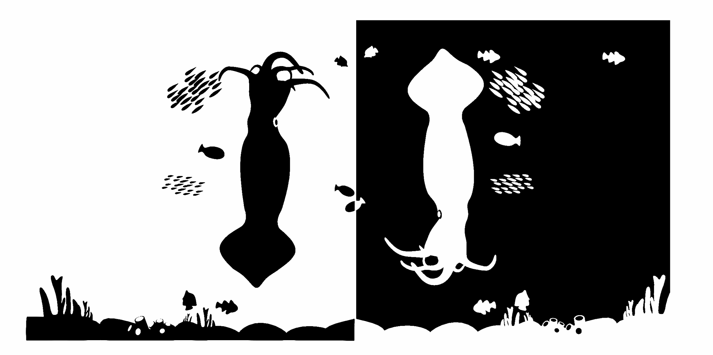 Notan Animation Project